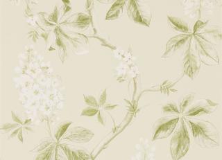 Фото - Обои Sanderson Woodland Walk - 247946>