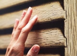 Фото - Обои Koziel Wood effect wallpapers - 323645>