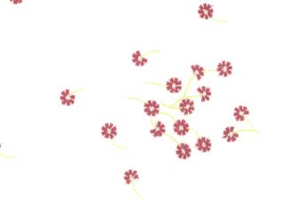 Фото - Ткани Malabar Misha - 368143>