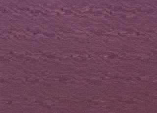 Фото - Ткани Clarke&Clarke Prima - 404434>