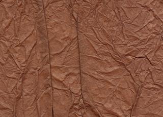 Фото - Обои Elitis Washi - 377683>