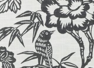 Фото - Ткани Duralee Thomas Paul Prints Exclusively for Duralee Vol.III - 351855>
