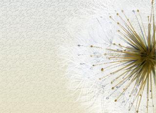 Фото - Обои Ango Linea Now - 330892>