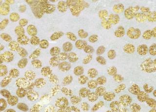 Фото - Обои Elitis Soleil levant - 469508>