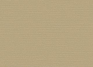 Фото - Обои Omexco Birds of Paradise - 611770>