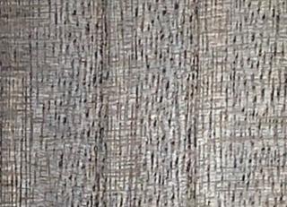 Фото - Обои Yana Svetlova Paulownia - 572474>