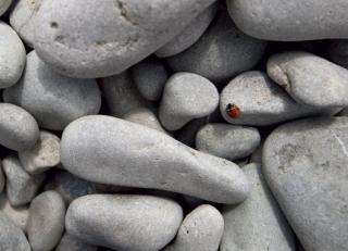 Фото - Обои Mr Perswall Photo - 235215>