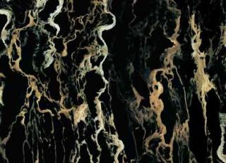 Фото - Обои Pierre Frey Graminees 3 - 324230>