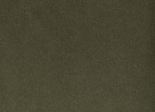 Фото - Ткани Foresti Home Collection Velluto di cotone Zeus - 563407>