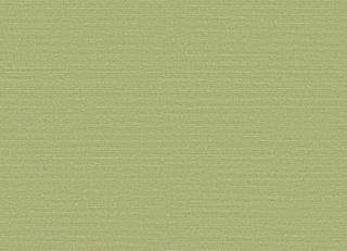 Фото - Обои Omexco Birds of Paradise - 611768>