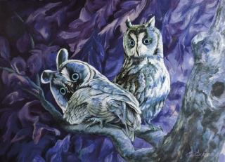 Фото - Обои Ortograf Елена Самарская - 479076>