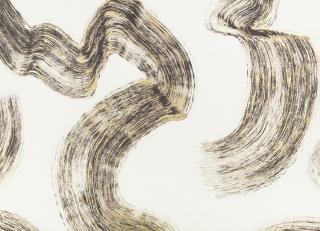 Фото - Ткани Black Edition Tsauri - 601101>