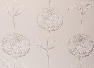 Фото - Обои Clarke&Clarke Showstoppers - 193706>