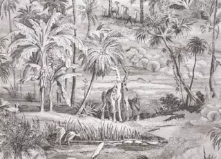 Фото - Обои Pierre Frey Deserts - 624287>