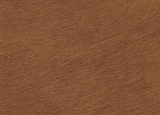 Фото - Обои Elitis Indomptee - 377181>