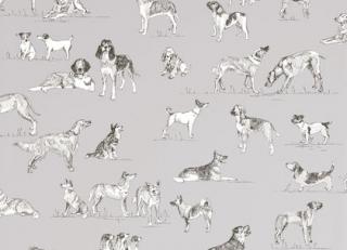 Фото - Обои Thibaut Menswear Resource - 228704>