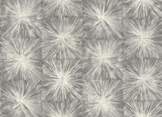 Фото - Обои Carl Robinson Edition 9 - 253503>