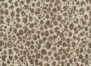 Фото - Ткани Thibaut Bridgehampton - 317898>