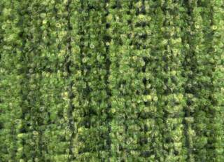 Фото - Ткани Holland & Sherry Joli - 630970>