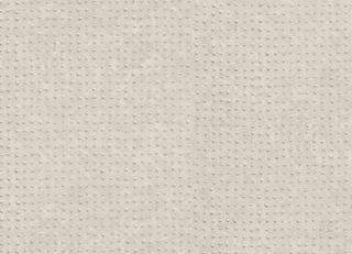 Фото - Обои Zambaiti Eterea - 550556>