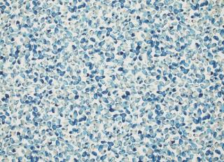 Фото - Ткани Romo Otelie - 502191>