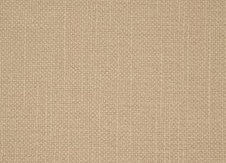 Фото - Ткани Sanderson Arley - 302578>