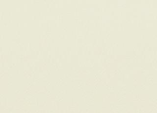 Фото - Ткани Faboie Plain VIII - 584156>