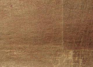 Фото - Обои Elitis Paradisio - 262181>