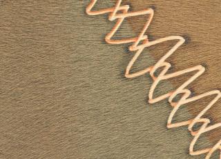 Фото - Обои Elitis Sauvages - 605277>