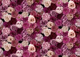 Фото - Обои Mr Perswall Captured Reality 2 - 488480>