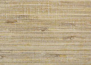 Фото - Обои Pierre Frey Graminees 1 - 312116>