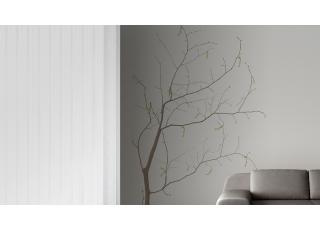 Фото - Обои Glamora Essence - 225485>