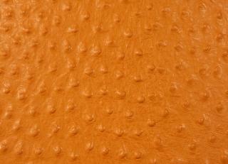 Фото - Аксессуары Pavoni Кожа Struzzo - 588919>