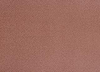 Фото - Обои Caselio Obsession - 231247>