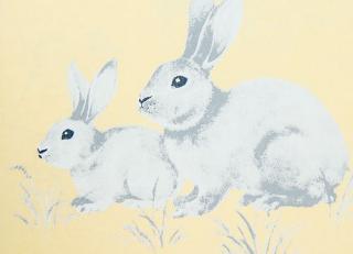 Фото - Обои Milassa Twins - 329052>