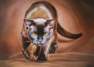 Фото - Обои Ortograf Елена Самарская - 479043>