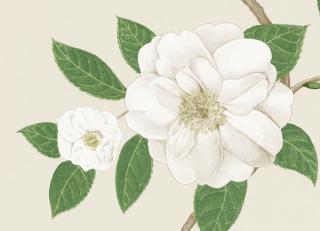 Фото - Обои Sanderson Voyage of discovery - 204360>