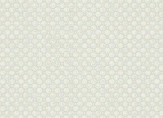 Фото - Обои Collins & Company Envy - 187185>