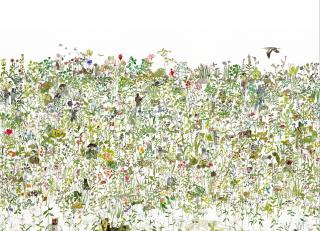 Фото - Обои Nlxl Lab3 - 340569>