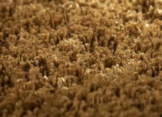 Фото - Ковры JAB Anstoetz Savanna - 574229>