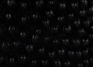 Фото - Аксессуары Pavoni Кожа Struzzo - 588923>