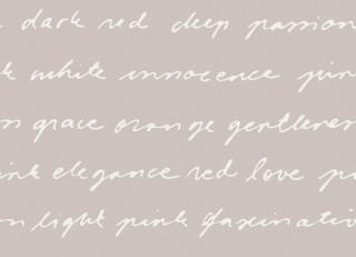 Фото - Обои Sandudd Rolleri 9 - 422499>