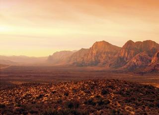 Фото - Панно для стен - 507733>