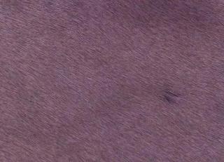 Фото - Аксессуары Pavoni Кожа Vitellina Pelo - 589065>