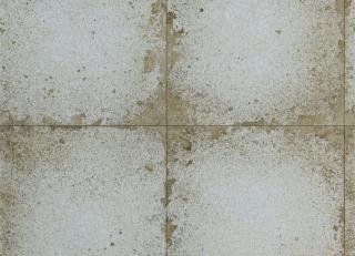 Фото - Обои Zoffany The Muse Wallcoverings - 366914>