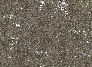 Фото - Обои Tres Tintas Wall A Porter - 198195>