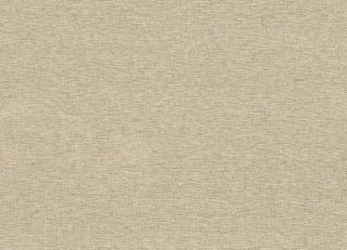 Фото - Ткани Rubelli Wide Shantung - 503293>