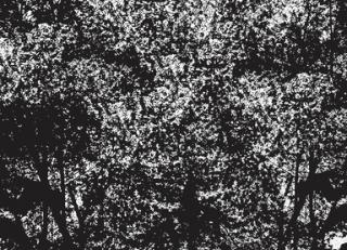 Фото - Обои Wall&Deco CODE 2020 OUT SYSTEM - 495107>