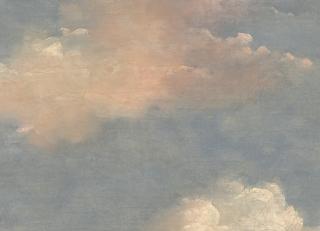 Фото - Обои Mayflower by Kt Exclusive Transition - 436551>