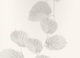 Фото - Обои Origin Park Avenue - 346247>